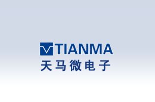 天馬微電子的介紹